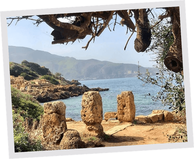 Algerian landscape 2